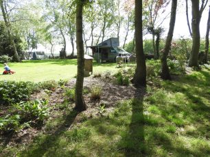 Doorkijkje tussen de bomen.