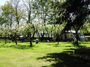 Boomgaard