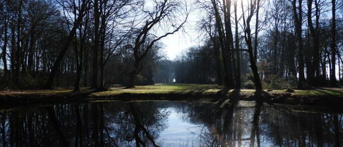 Het bos achter de Fraeylemaborg.