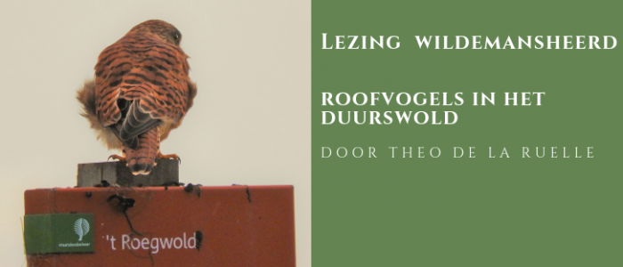 Roofvogels in het Duurswold