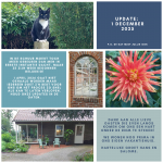 Kopie-van-Kopie-van-update-1-december