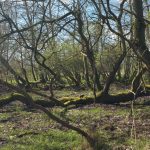 20260412_130009_resized