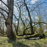 20260412_130116_resized