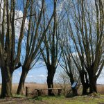 20260412_130215_resized