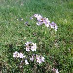 20260412_131105_resized